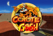 YTBET